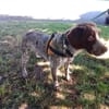 ATHOS