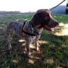 ATHOS