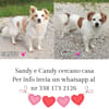 Candy e Sandy