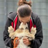 Loui ein Traum von Hund...