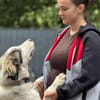 Loui ein Traum von Hund...