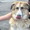 LUCKY, wo bleibt ihr persönliches Glück?