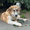 LUCKY, wo bleibt ihr persönliches Glück?