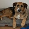 Winston wartet auf seine Menschen