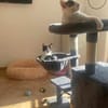 Penny und Pepe suchen gemeinsames Zuhaus