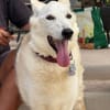 CLOE (Maria)