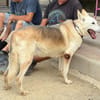 CLOE (Maria)
