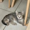 AIKO**