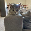 AIKO**