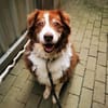 Lilly, traumhaft liebe Seniorin