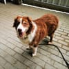 Lilly, traumhaft liebe Seniorin