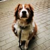 Lilly, traumhaft liebe Seniorin