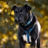 MACY -sucht erfahrene Menschen-