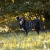 MACY -sucht erfahrene Menschen-