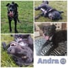 ANDRA * sucht enge Bezugsperson