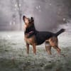 NORAH -arbeitswillig & menschenbezogen-