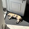 ARKON -Sonnengenießer mit Charakter-