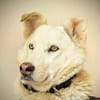 AMBERBLUE -freundlich & unkompliziert-