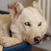 AMBERBLUE -freundlich & unkompliziert-