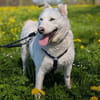 AMBERBLUE -freundlich & unkompliziert-