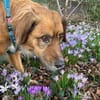Tony Pongo - Neustart gesucht!