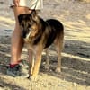 NACHO (Maria)