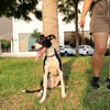 ENZO (Martina)