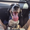 CARLOS (Maria)