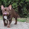 CHOCO