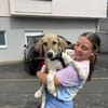 Kari - Welpe Hündin Mischling Lieb