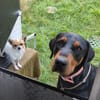 Großer Typ sucht coolen Menschen!