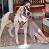 Jasmine - Lady mit toller Ausstrahlung