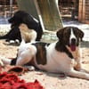 Jasmine - Lady mit toller Ausstrahlung