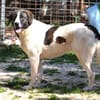 Jasmine - Lady mit toller Ausstrahlung