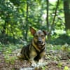 junge, smart Frida sucht ihre Familie