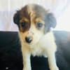 Amara sucht eine Familie