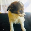 Amara sucht eine Familie