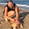 Amy sucht ihr Für Immer Zuhause