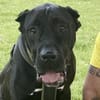 Julio in Köln sucht erfahrene Menschen