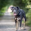 Vicky: Sanfte Seele sucht Geborgenheit