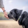 Vicky: Sanfte Seele sucht Geborgenheit