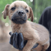 Teeny