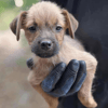 Teeny