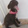 BERTA (Maria)