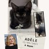 Adele