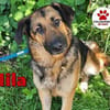 hübsche Mila sucht ihre Familie
