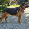 hübsche Mila sucht ihre Familie
