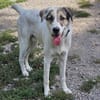 Maximus sucht erfahrene Menschen