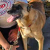 RUBY in 91616 Neusitz sucht 🙏🆘🆘🆘🆘🆘