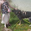 Dean sucht sein Für-Immer-Zuhause